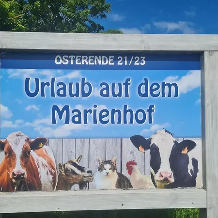 Auf Dem Marienhof