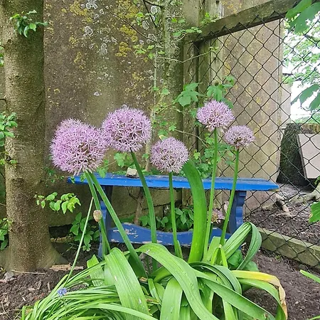 Auf Dem Marienhof Bauernhof *